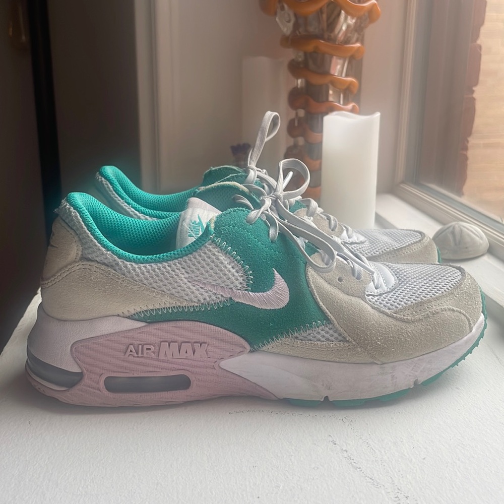Nike Air Max Shoe